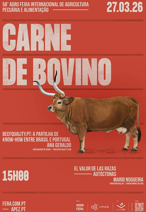 Carne de Bovino